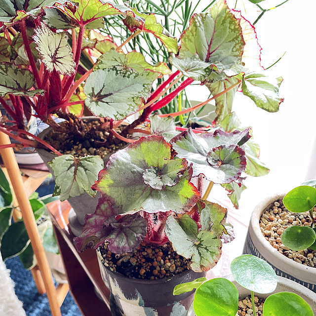 miyamiyaさんの部屋