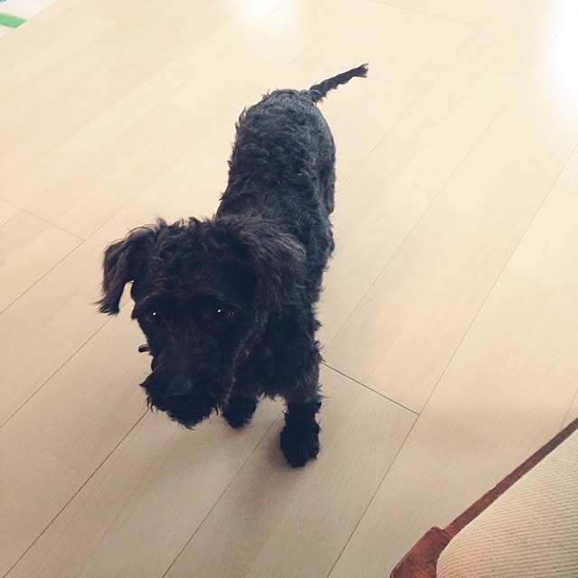 aikoさんの実例写真