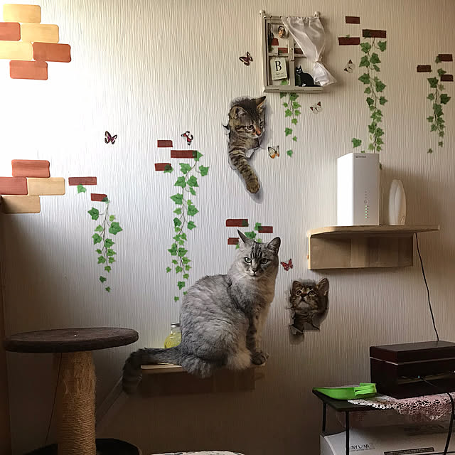 実例写真