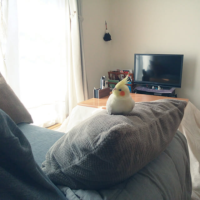 pontaさんの実例写真