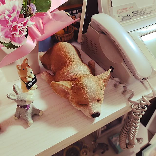kiraさんの部屋