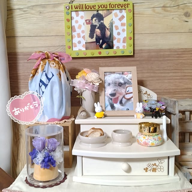chinon7211さんの部屋