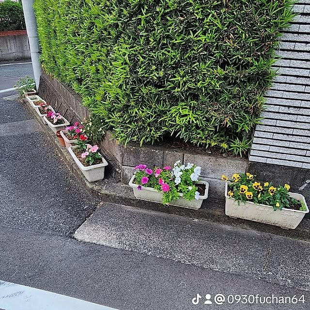 fuchan0930さんの部屋