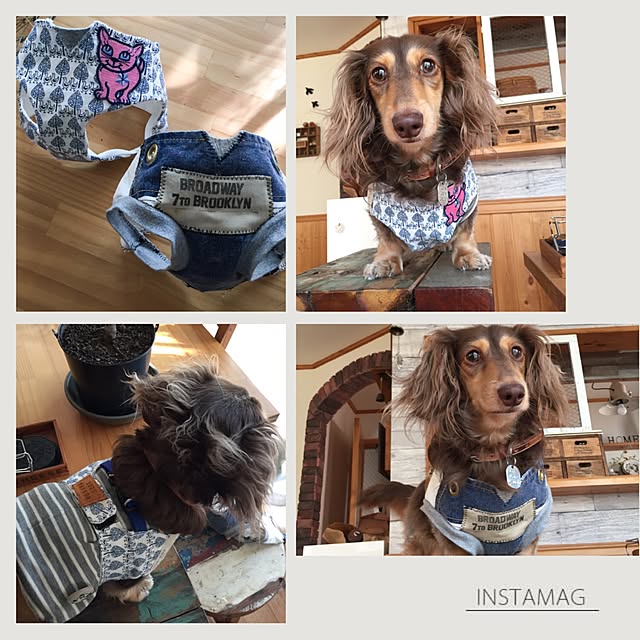 yupponさんの実例写真