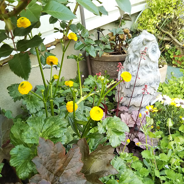 yukkoさんの実例写真