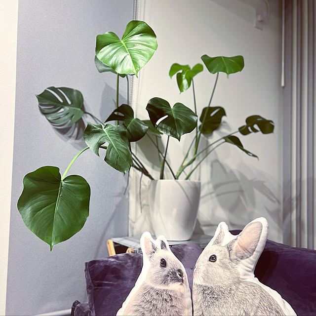 Marieさんの実例写真