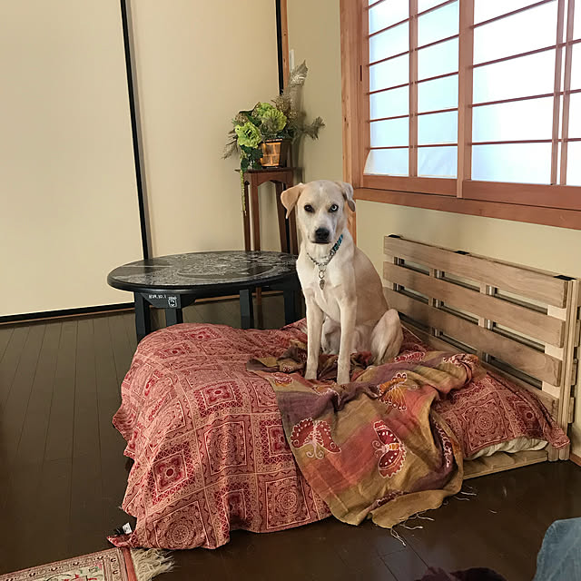 mm319さんの実例写真