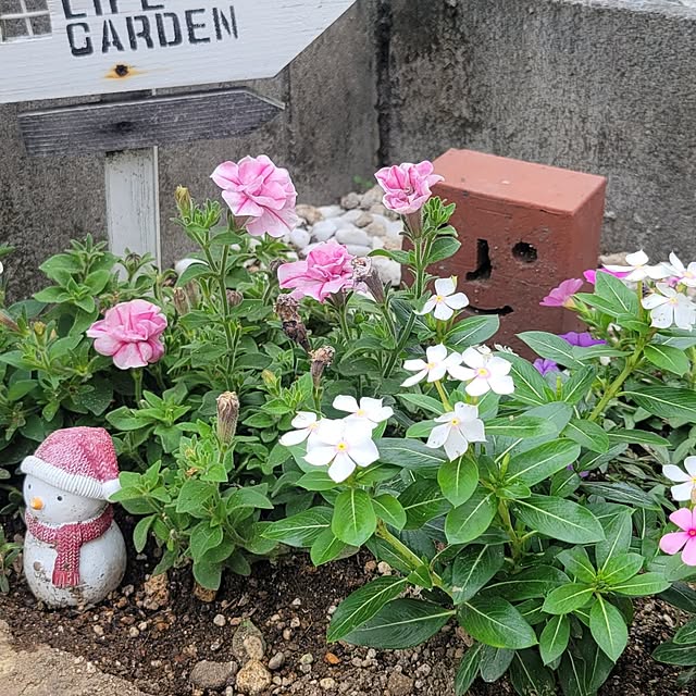 natyenaoさんの実例写真