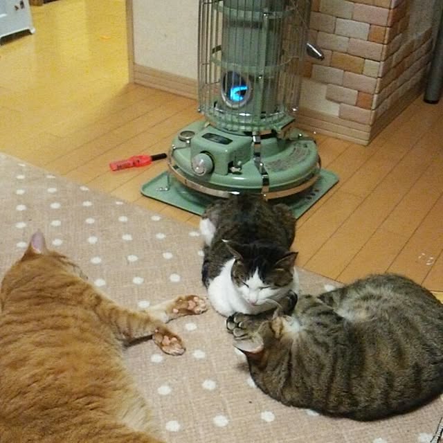 Masamiさんの実例写真