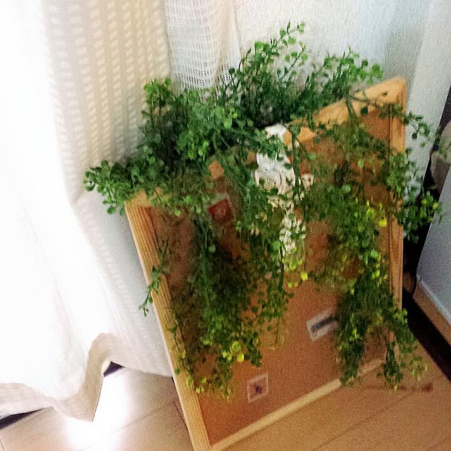 H.Kさんの実例写真