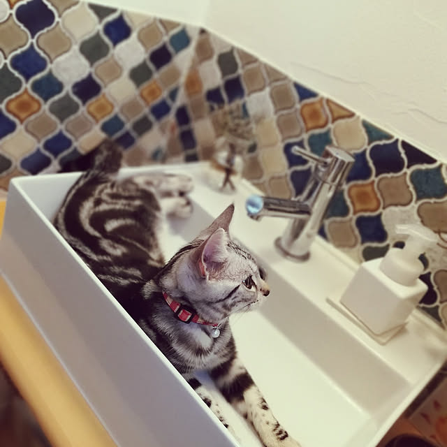 wahahaさんの実例写真