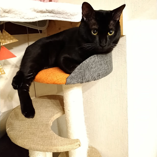 Tさんの実例写真