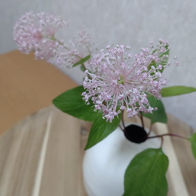 ciel-chambreさんの部屋