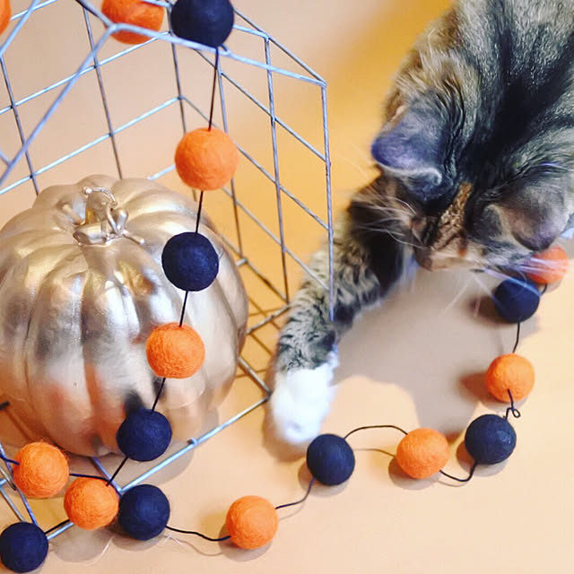 decorameowさんの実例写真
