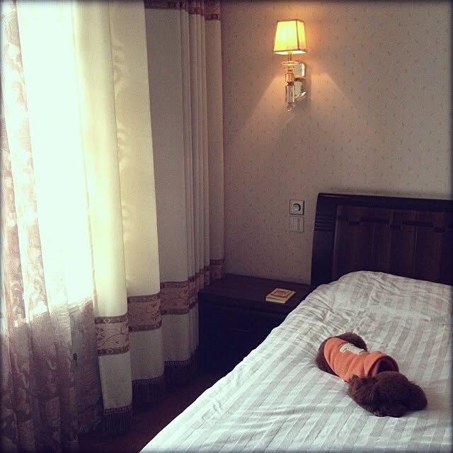 maylieさんの実例写真