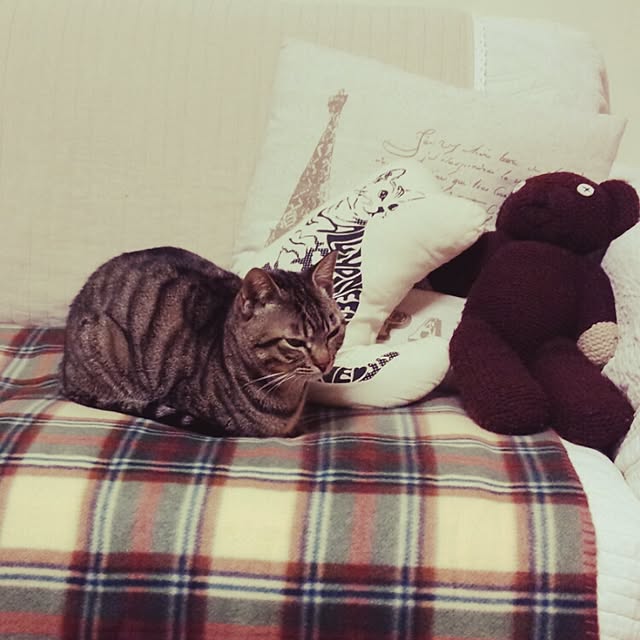 maoshinさんの実例写真