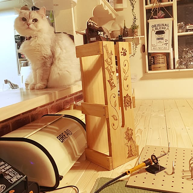 gomachanさんの実例写真