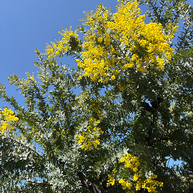 yunroomさんの部屋