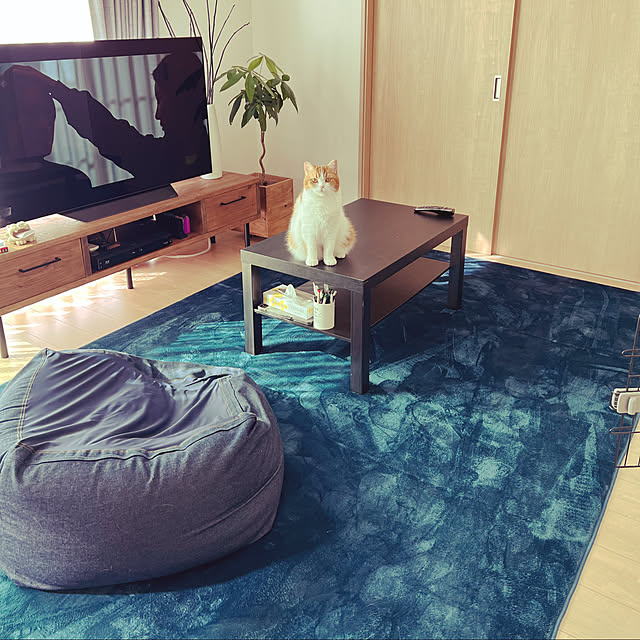 akoさんの実例写真