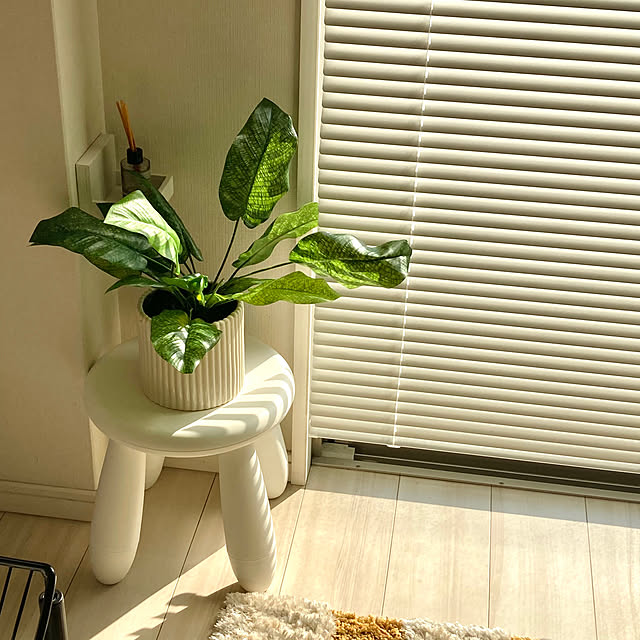 Rio333さんの実例写真