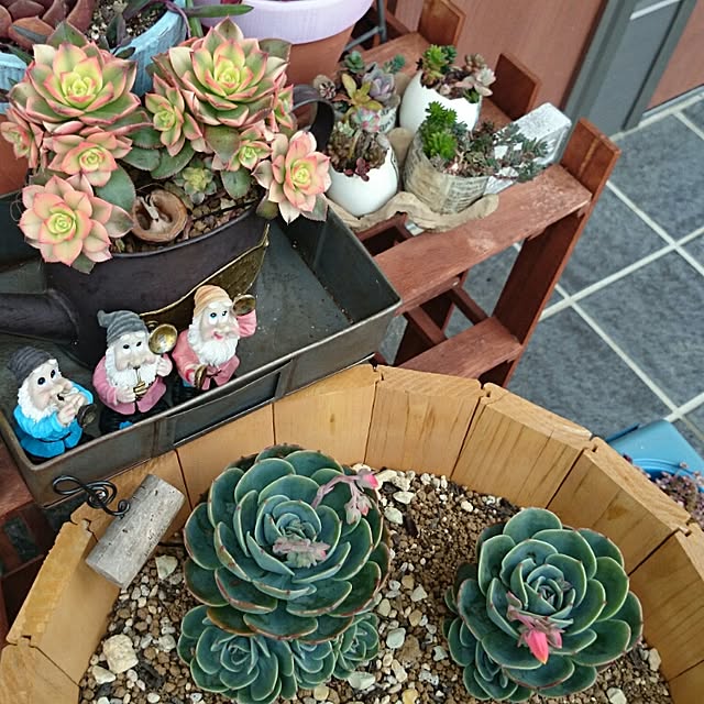 cocomilkさんの実例写真