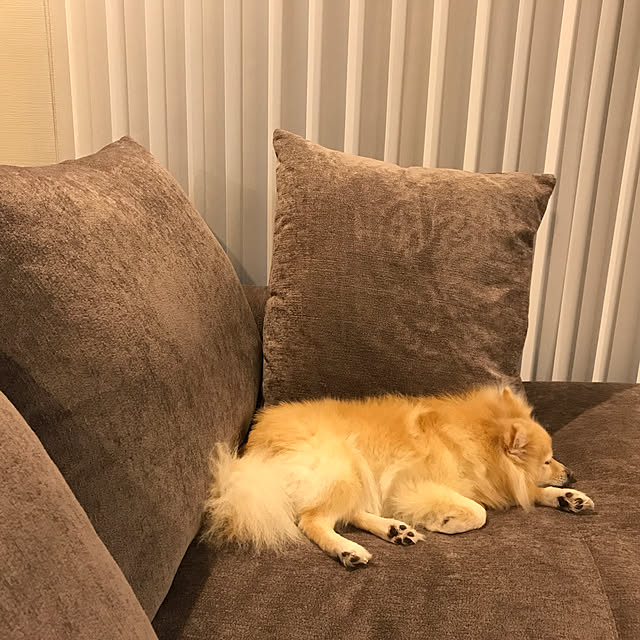 Kumiさんの実例写真