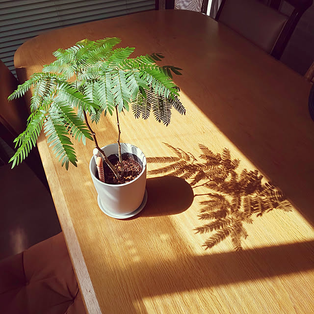 kumimmyさんの実例写真