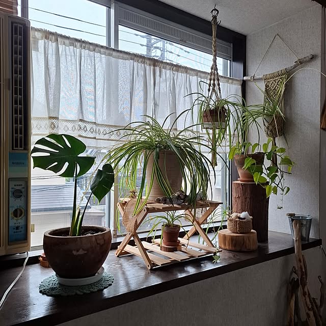 midoriさんの部屋