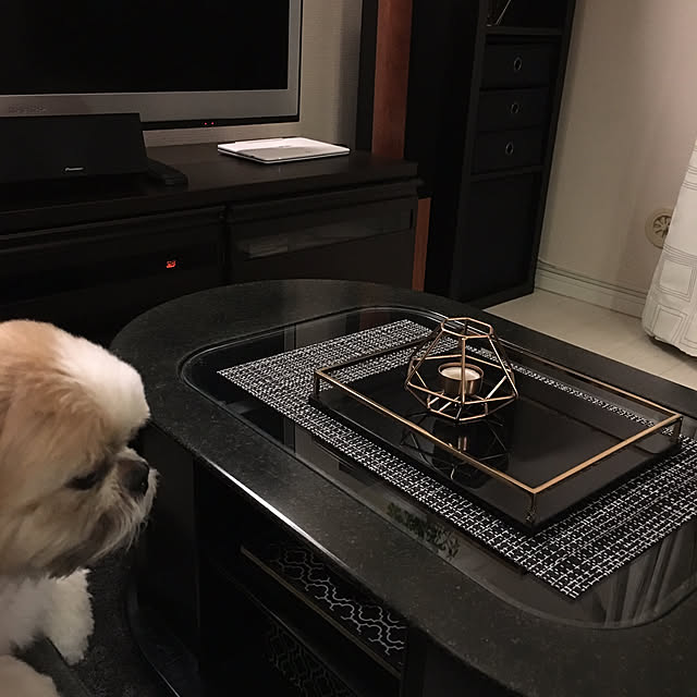 Mikiさんの実例写真