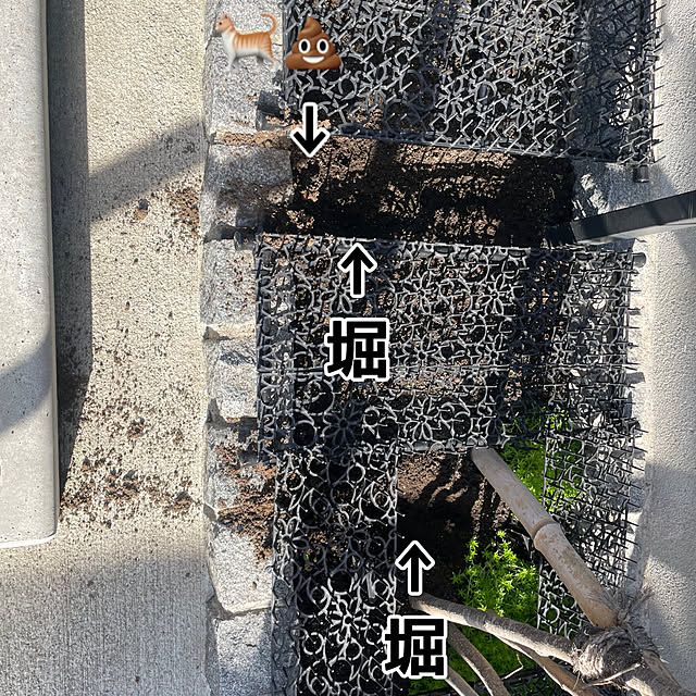 百均/花壇/Daiso/セダム/突っ張り棒...などのインテリア実例 - 2023-04-03 11:06:40
