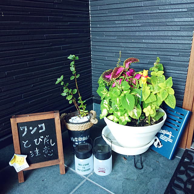 ucaさんの実例写真