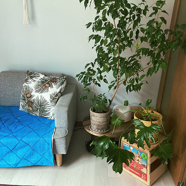 yukiatarIさんの部屋