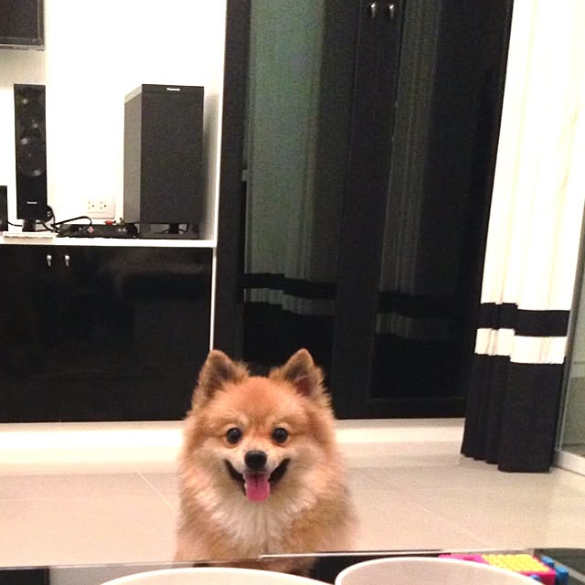 Ployさんの実例写真