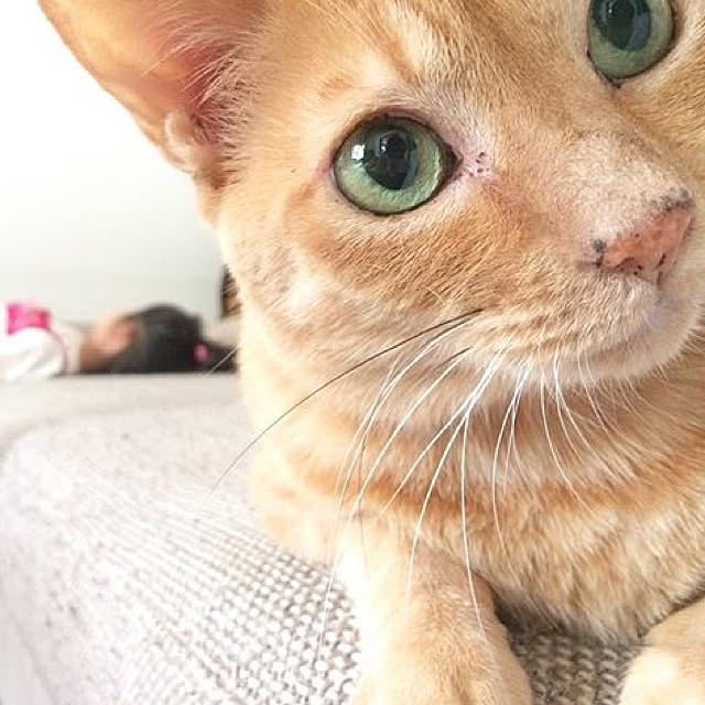 10ri5100さんの実例写真