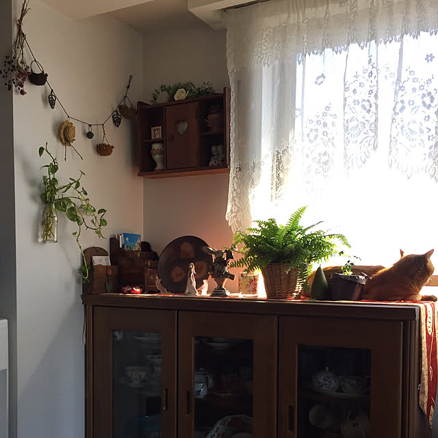 sleptcatさんの実例写真