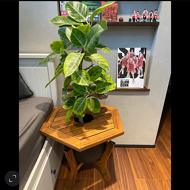 机/鉢植え/カインズ/観葉植物/かわいいアイテム...などのインテリア実例 - 2023-07-30 12:46:14