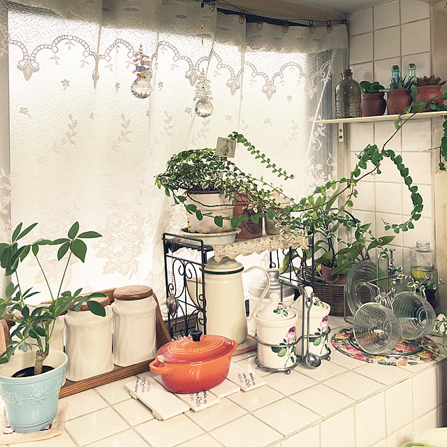 hama1219さんの実例写真