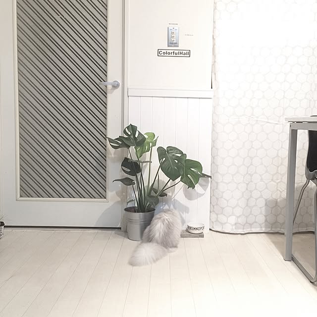 cocoさんの実例写真