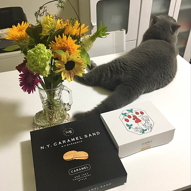 kittyさんの実例写真