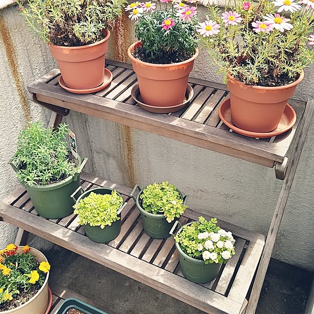 kumimmyさんの部屋
