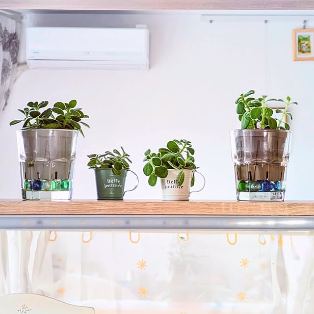 mi-saさんの実例写真