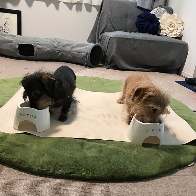 chocococoaさんの実例写真