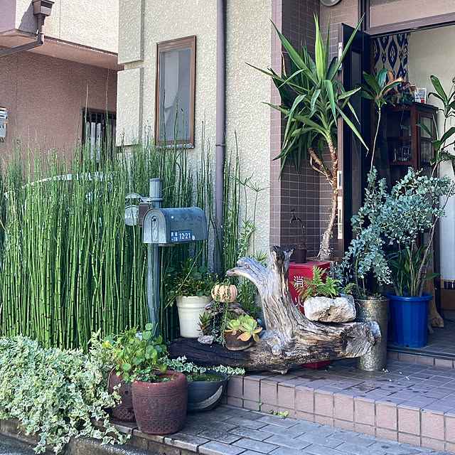 玄関/入り口のインテリア実例 - 2020-08-15 12:51:02