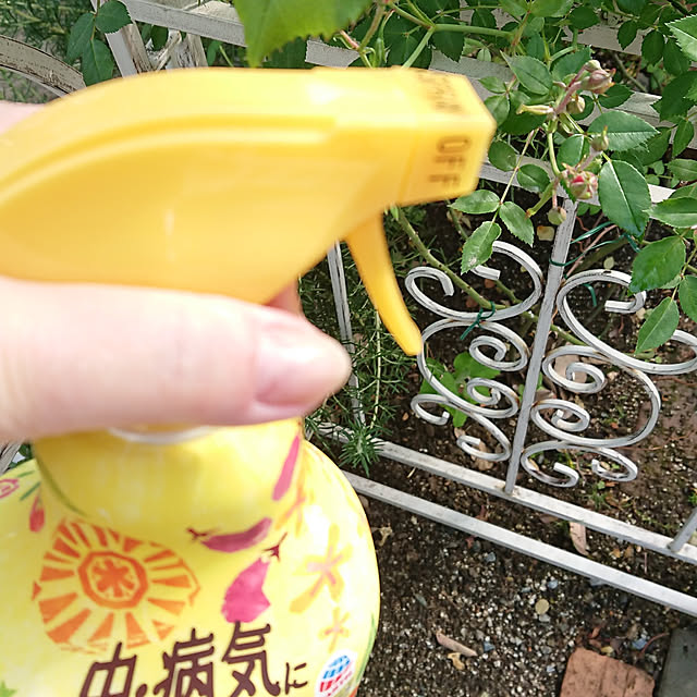 Bienvenueさんの実例写真