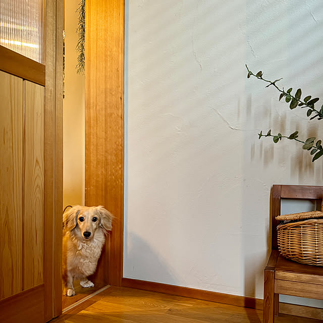 yukariさんの部屋