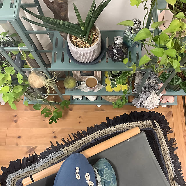 naive.coccoさんの部屋