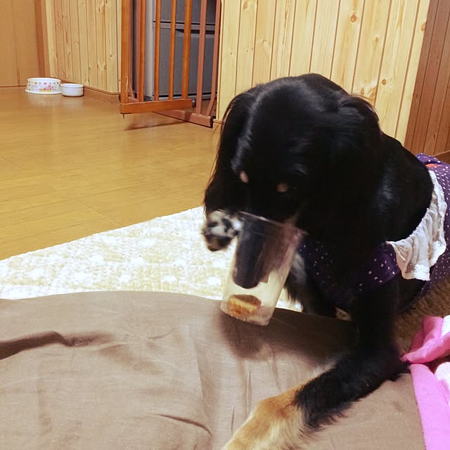 amihimeさんの実例写真