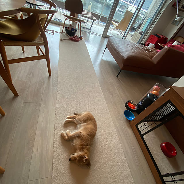 Yoheiさんの実例写真