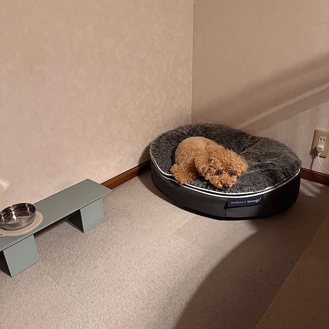chaimomさんの部屋