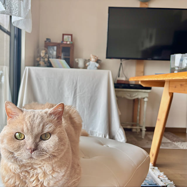 naokoさんの部屋